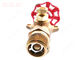 Reliable Oil Field Accessories 1/4"-4"  Female Thread Brass Forged Gate Valve